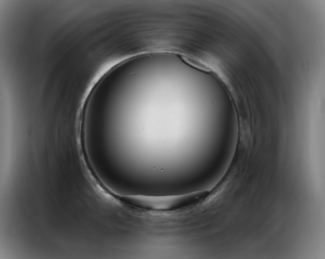 X0000087341102200704201141