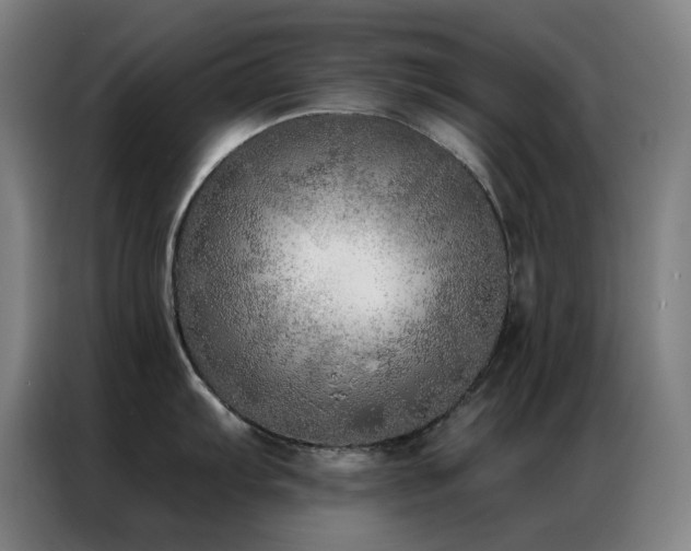 X0000087341103200704201141