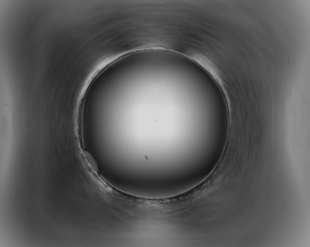 X0000087341104200704201141