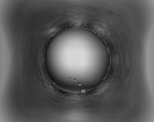 X0000087341105200704201140