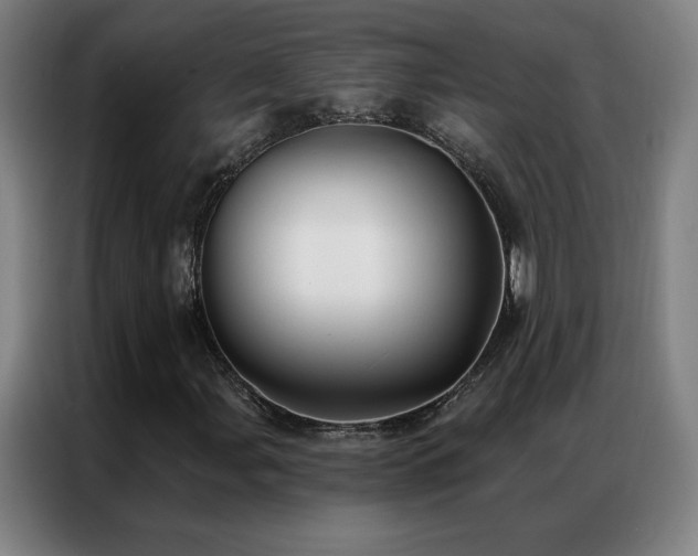 X0000087341107200704201140