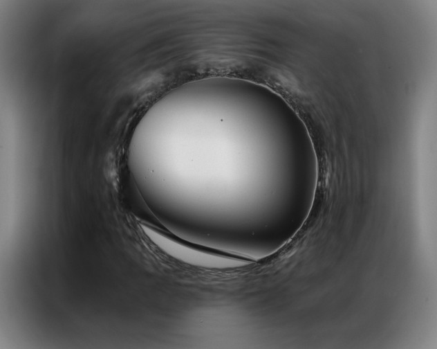 X0000087341109200704201140