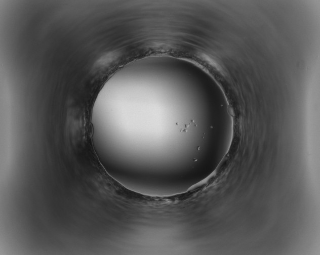 X0000087341111200704201140
