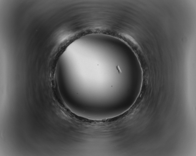 X0000087341112200704201140