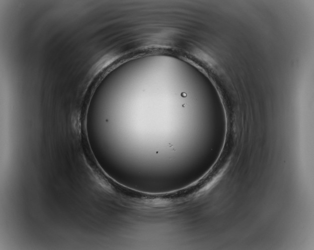X0000087341113200704201140