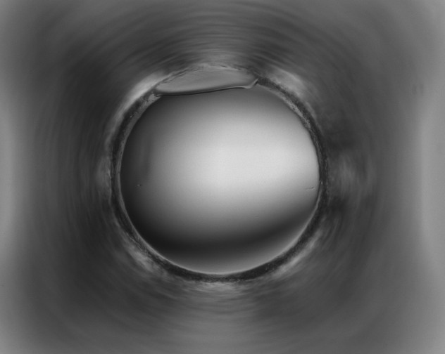 X0000087341114200704201140