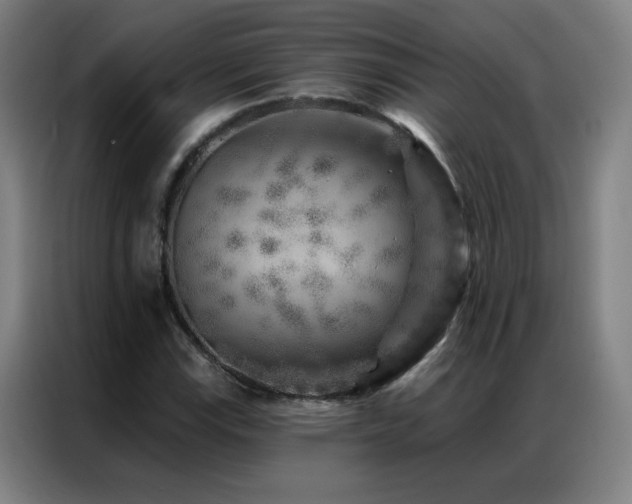 X0000087341115200704201140