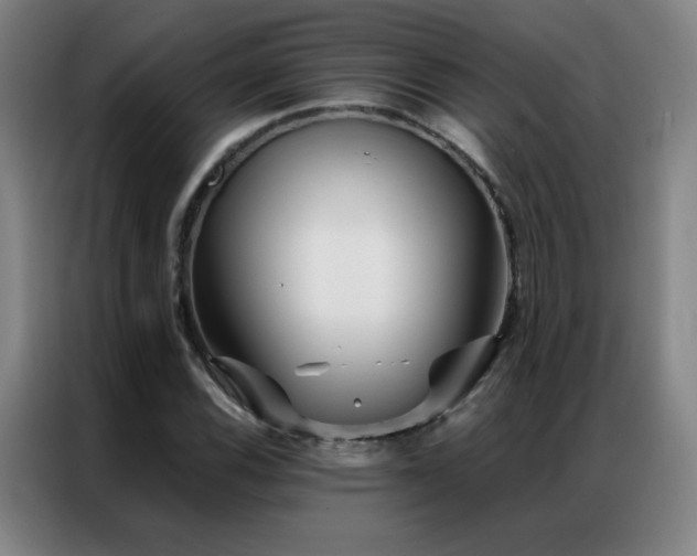 X0000087341116200704201140