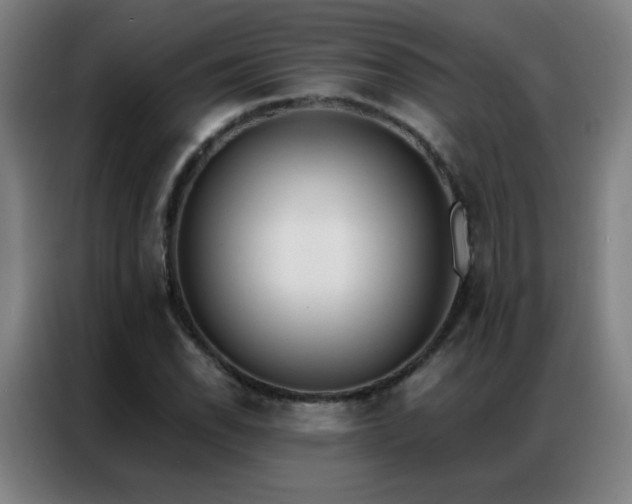 X0000087341118200704201140
