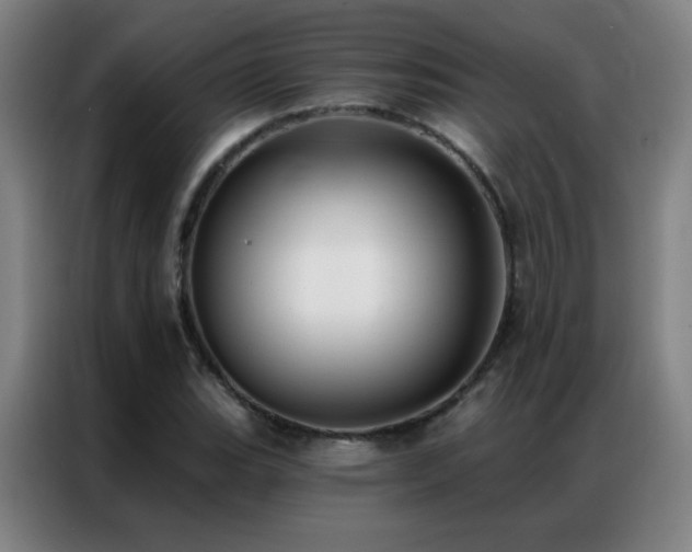X0000087341119200704201140