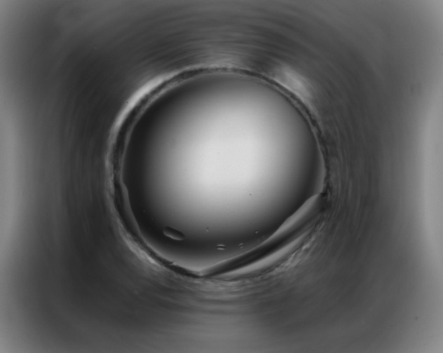 X0000087341120200704201140