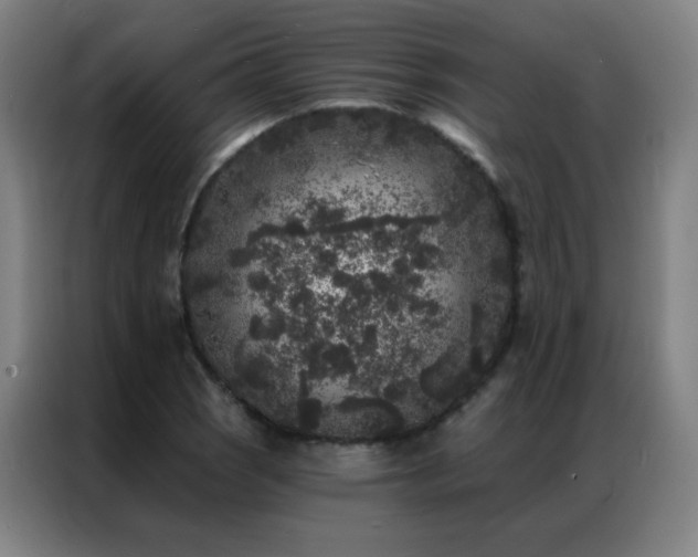 X0000087341121200704201140