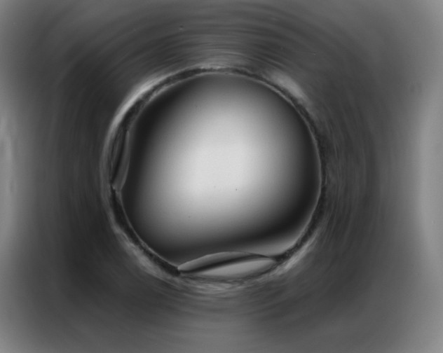 X0000087341122200704201140