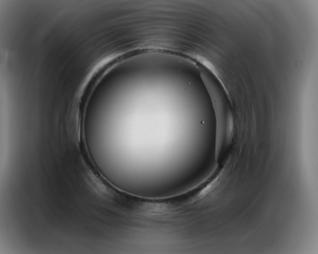 X0000087341123200704201141
