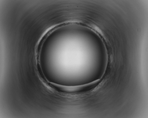 X0000087341124200704201141