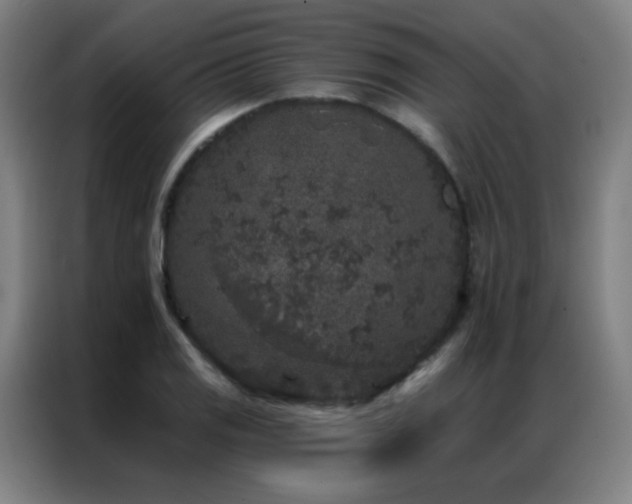 X0000087341125200704201141
