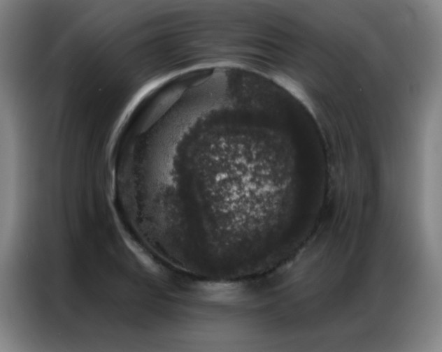 X0000087341127200704201141
