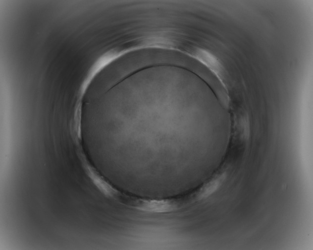 X0000087341128200704201141