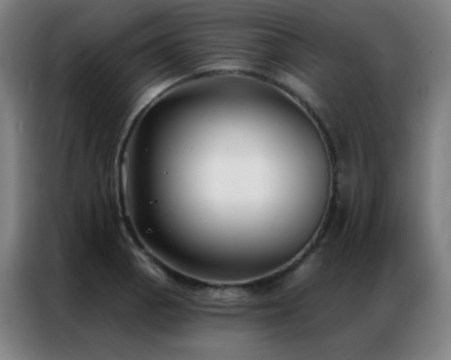 X0000087341129200704201141