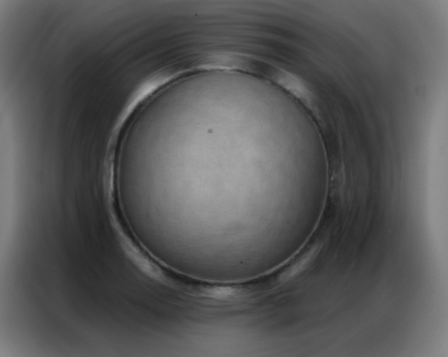 X0000087341130200704201141