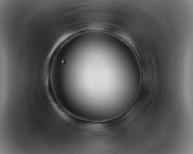 X0000087341131200704201141