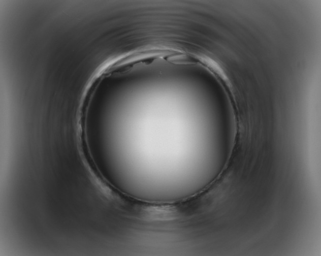 X0000087341133200704201141