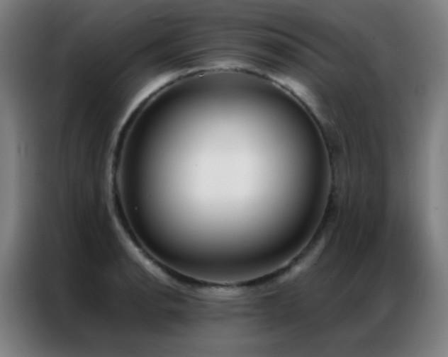 X0000087341134200704201141