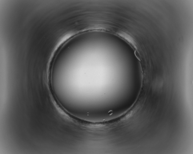 X0000087341135200704201141