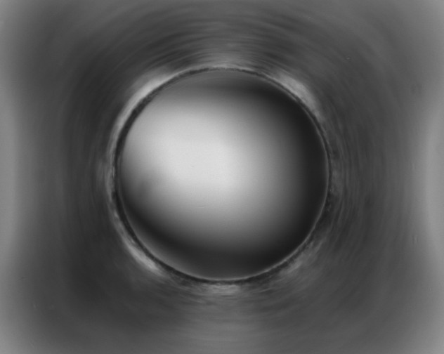 X0000087341136200704201141
