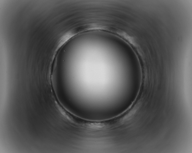 X0000087341137200704201141
