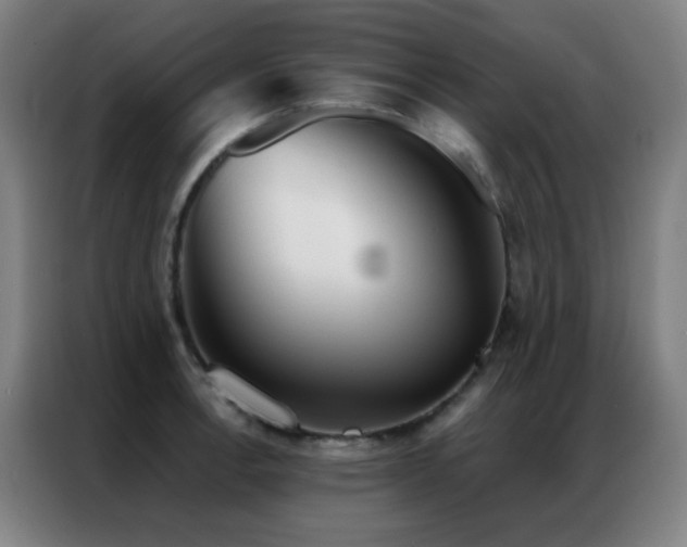 X0000087341138200704201141