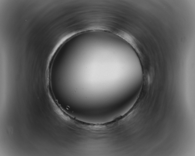 X0000087341140200704201141