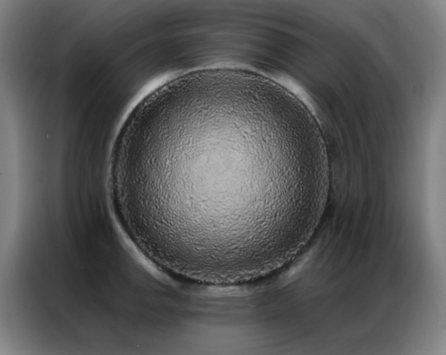 X0000087341142200704201141