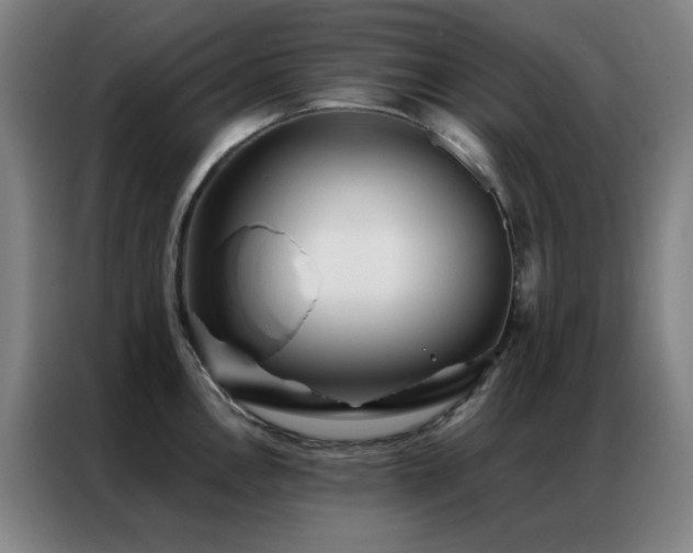 X0000087341146200704201141