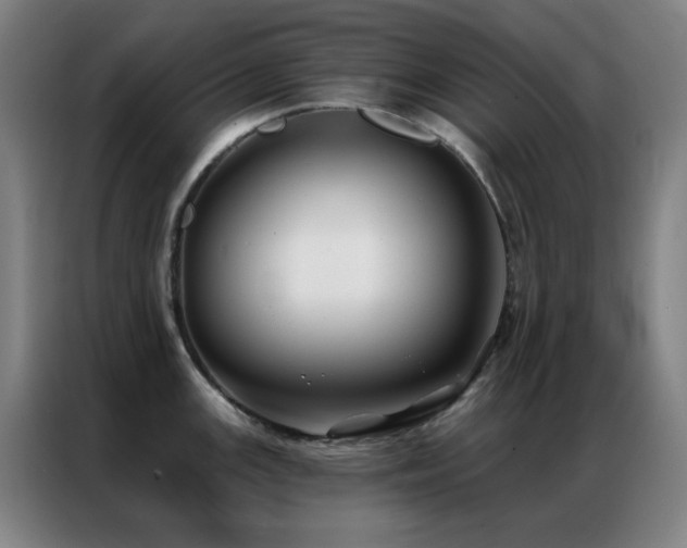 X0000087341147200704201141
