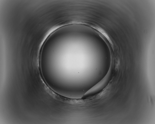 X0000087341148200704201141