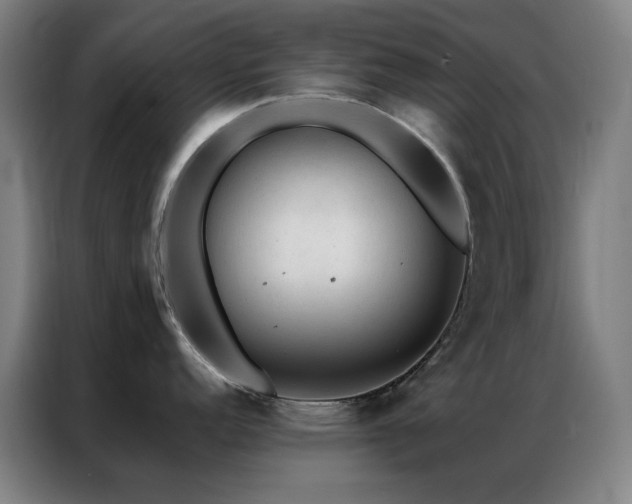 X0000087341152200704201141