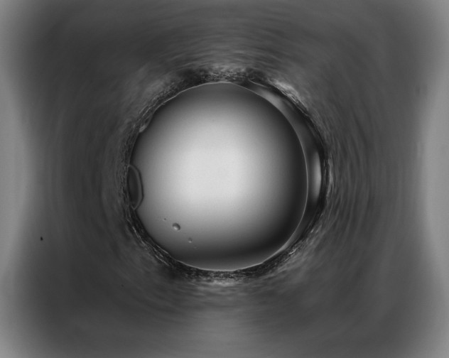 X0000087341153200704201140