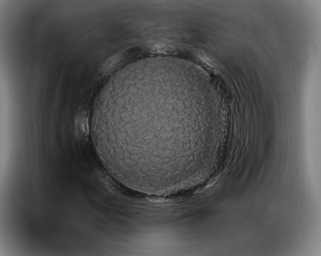 X0000087341155200704201140