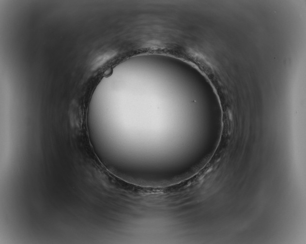 X0000087341158200704201140