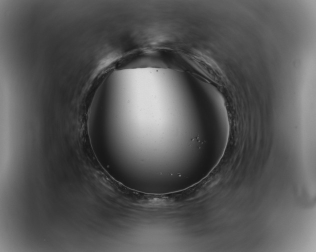 X0000087341160200704201140