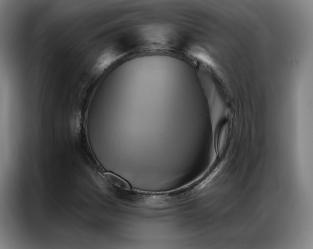 X0000087341161200704201140