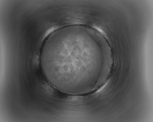 X0000087341163200704201140