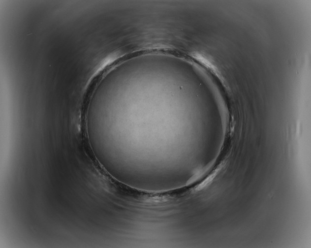 X0000087341165200704201140