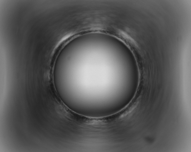 X0000087341166200704201140