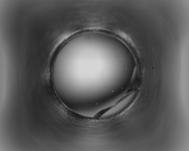 X0000087341167200704201140