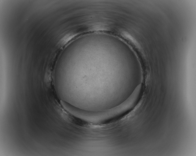X0000087341169200704201140