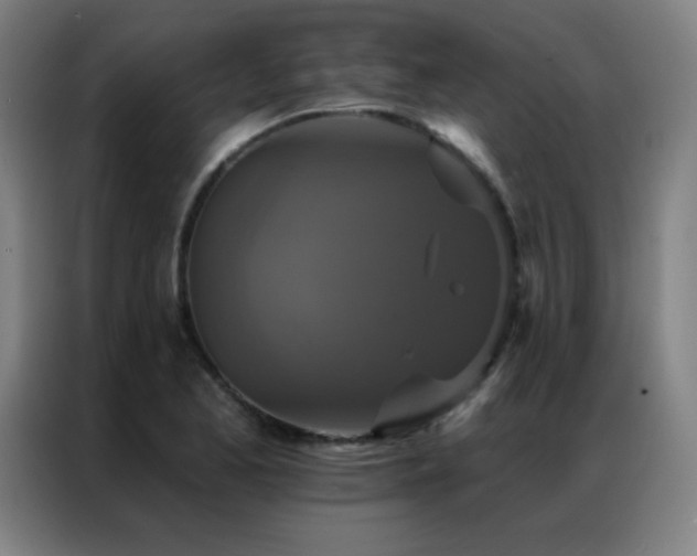 X0000087341173200704201140