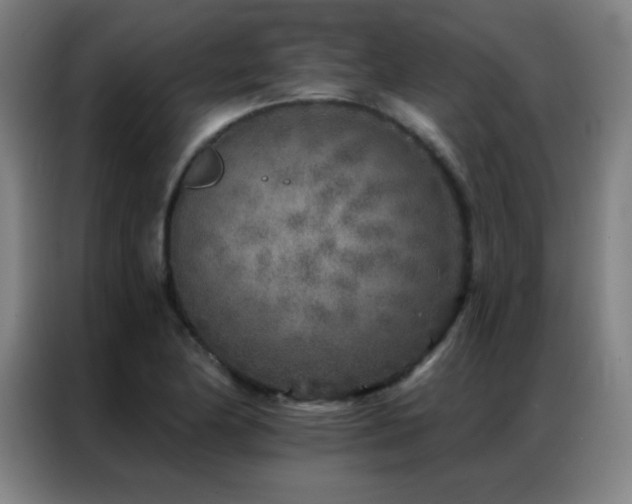 X0000087341174200704201140