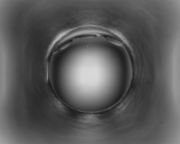 X0000087341175200704201140